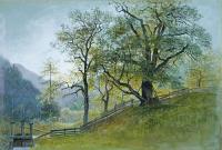 William Stanley Haseltine